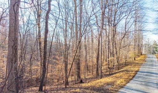 Photo #19 of Lot 15-16 Woodlake Drive, Goodview, VA 4.5 acres