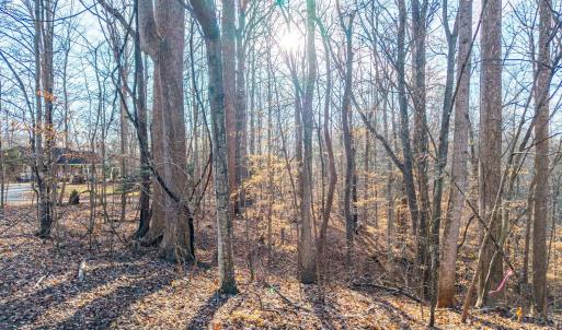 Photo #20 of Lot 15-16 Woodlake Drive, Goodview, VA 4.5 acres