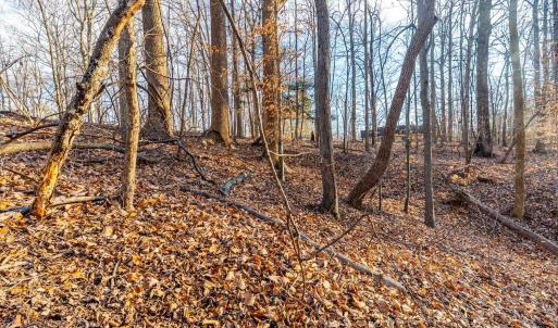 Photo #23 of Lot 15-16 Woodlake Drive, Goodview, VA 4.5 acres