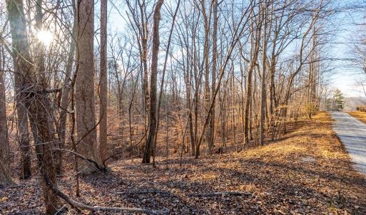 Photo #25 of Lot 15-16 Woodlake Drive, Goodview, VA 4.5 acres