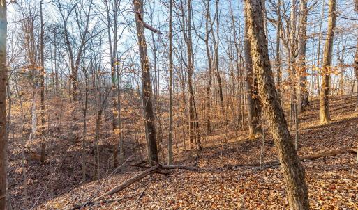 Photo #21 of Lot 15-16 Woodlake Drive, Goodview, VA 4.5 acres