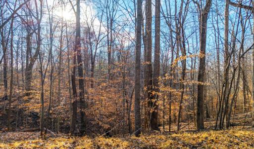 Photo #18 of Lot 15-16 Woodlake Drive, Goodview, VA 4.5 acres