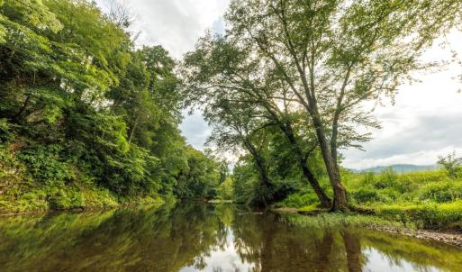 Photo #28 of 41 News Road, Eagle Rock, VA 20.3 acres