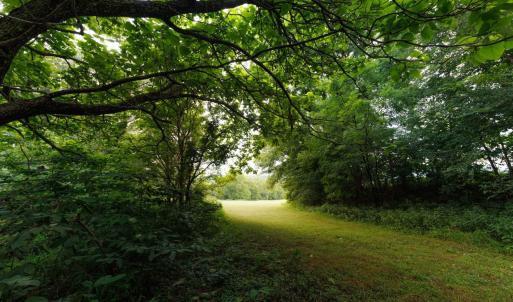 Photo #31 of 41 News Road, Eagle Rock, VA 20.3 acres