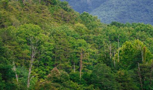 Photo #9 of 41 News Road, Eagle Rock, VA 20.3 acres