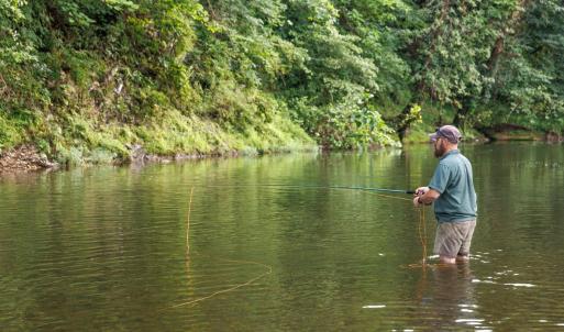 Photo #48 of 41 News Road, Eagle Rock, VA 20.3 acres