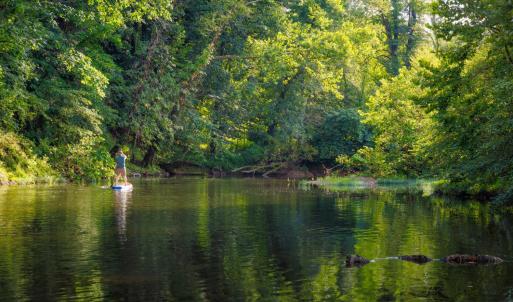 Photo #17 of 41 News Road, Eagle Rock, VA 20.3 acres