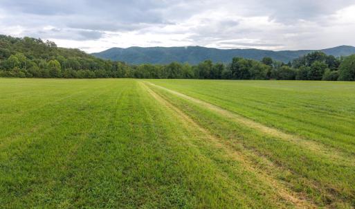 Photo #2 of 41 News Road, Eagle Rock, VA 20.3 acres