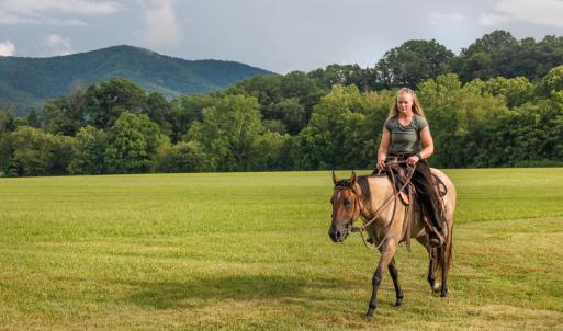 Photo #47 of 41 News Road, Eagle Rock, VA 20.3 acres