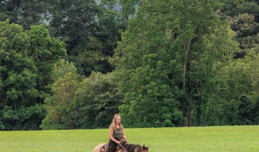 Photo #11 of 41 News Road, Eagle Rock, VA 20.3 acres