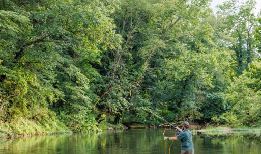 Photo #26 of 41 News Road, Eagle Rock, VA 20.3 acres