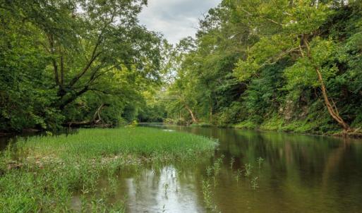 Photo #25 of 41 News Road, Eagle Rock, VA 20.3 acres