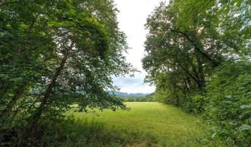 Photo #32 of 41 News Road, Eagle Rock, VA 20.3 acres