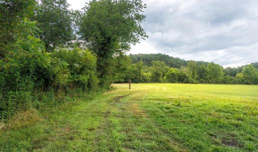 Photo #40 of 41 News Road, Eagle Rock, VA 20.3 acres