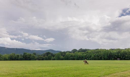 Photo #13 of 41 News Road, Eagle Rock, VA 20.3 acres