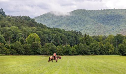 Photo #1 of 41 News Road, Eagle Rock, VA 20.3 acres