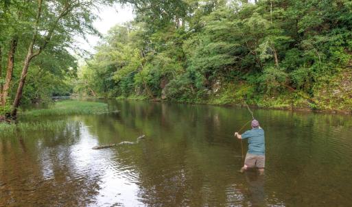 Photo #27 of 41 News Road, Eagle Rock, VA 20.3 acres