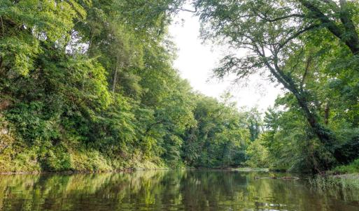 Photo #21 of 41 News Road, Eagle Rock, VA 20.3 acres