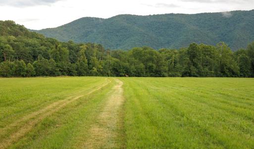 Photo #5 of 41 News Road, Eagle Rock, VA 20.3 acres