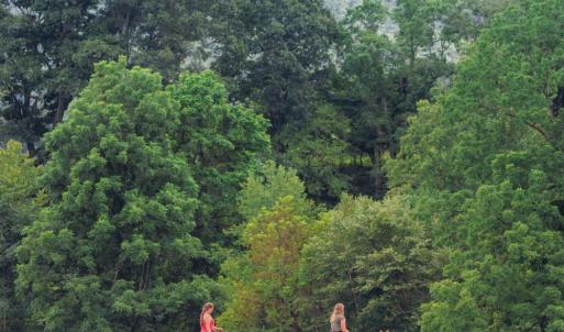 Photo #10 of 41 News Road, Eagle Rock, VA 20.3 acres