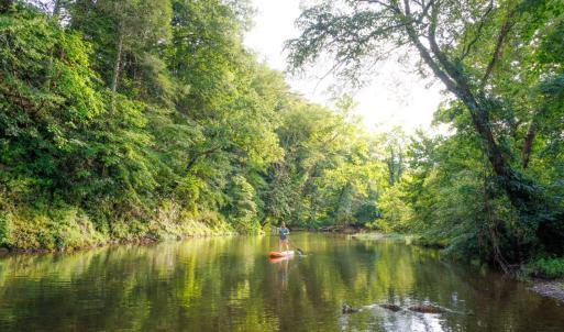 Photo #19 of 41 News Road, Eagle Rock, VA 20.3 acres