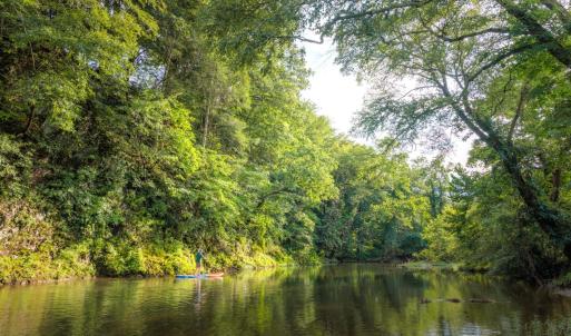 Photo #16 of 41 News Road, Eagle Rock, VA 20.3 acres