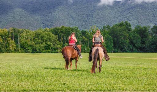 Photo #6 of 41 News Road, Eagle Rock, VA 20.3 acres