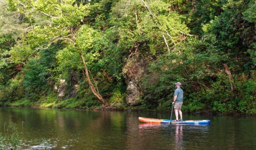 Photo #20 of 41 News Road, Eagle Rock, VA 20.3 acres