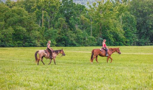 Photo #7 of 41 News Road, Eagle Rock, VA 20.3 acres