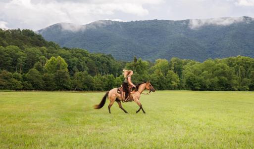 Photo #14 of 41 News Road, Eagle Rock, VA 20.3 acres