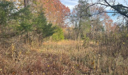 Photo #5 of Five Forks Road, Bedford, VA 11.6 acres