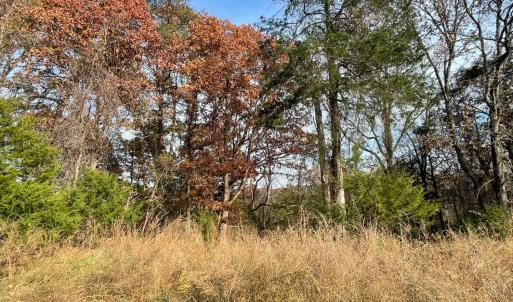 Photo #10 of Five Forks Road, Bedford, VA 11.6 acres