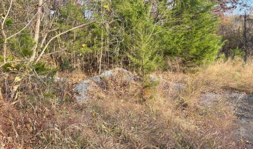 Photo #6 of Five Forks Road, Bedford, VA 11.6 acres