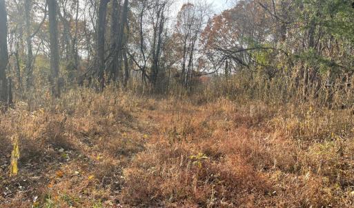 Photo #4 of Five Forks Road, Bedford, VA 11.6 acres