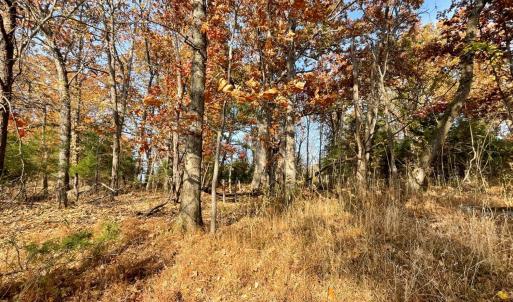 Photo #3 of Five Forks Road, Bedford, VA 11.6 acres