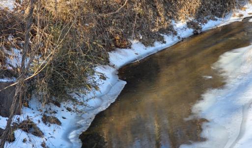 Photo #6 of Country Club Road, Appomattox, VA 10.1 acres