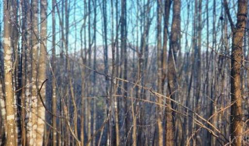 Photo #20 of Jackrabbit Lane, Coleman Falls, VA 35.6 acres