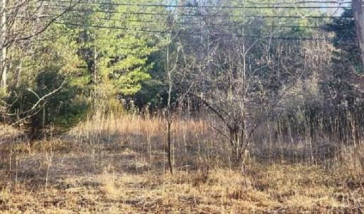 Photo #26 of Jackrabbit Lane, Coleman Falls, VA 35.6 acres