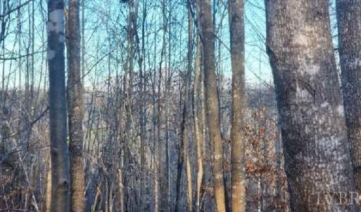 Photo #23 of Jackrabbit Lane, Coleman Falls, VA 35.6 acres