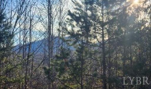 Photo #25 of Jackrabbit Lane, Coleman Falls, VA 35.6 acres
