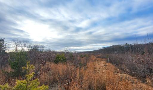 Photo #3 of Bethany Rd., Rustburg, VA 47.4 acres