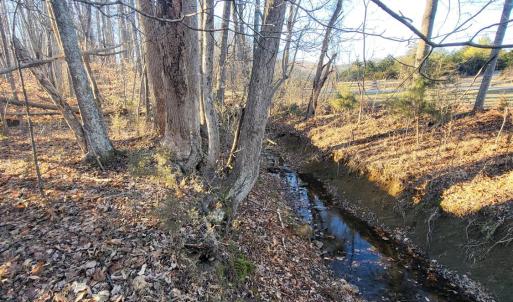 Photo #7 of Bethany Rd., Rustburg, VA 47.4 acres