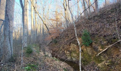 Photo #5 of Bethany Rd., Rustburg, VA 47.4 acres