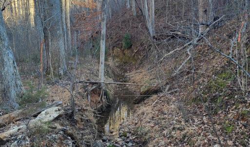 Photo #4 of Bethany Rd., Rustburg, VA 47.4 acres