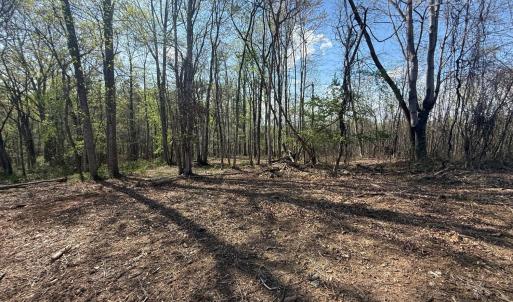 Photo #9 of Link Road, Bedford, VA 4.7 acres