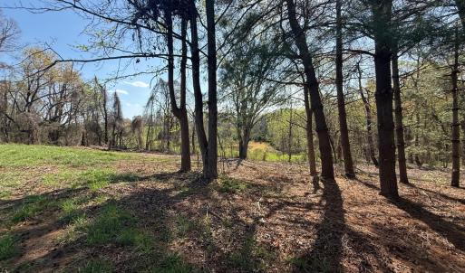 Photo #14 of Link Road, Bedford, VA 4.7 acres