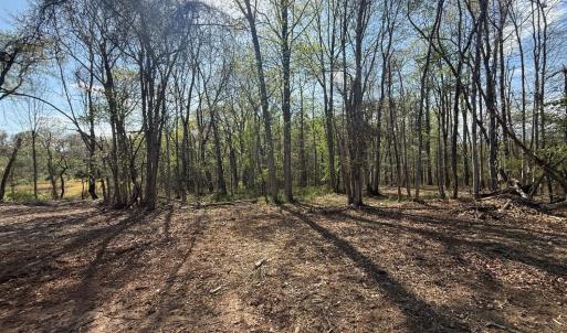 Photo #8 of Link Road, Bedford, VA 4.7 acres