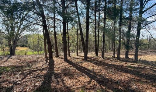Photo #13 of Link Road, Bedford, VA 4.7 acres