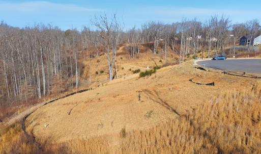 Photo #4 of 127 Courtney Springs Drive, Lynchburg, VA 0.2 acres