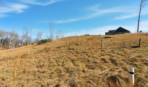 Photo #9 of 127 Courtney Springs Drive, Lynchburg, VA 0.2 acres